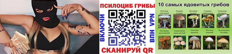 Псилоцибиновые грибы Psilocybe  Купить закладки  Каменск-Шахтинский 